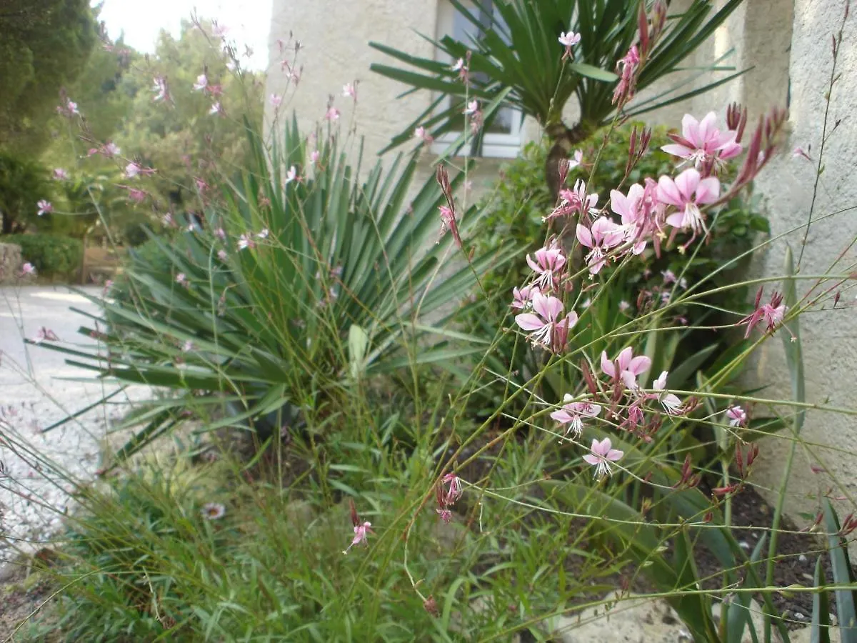 Villa With Spa, Pool And View Of St Tropezs Gulf Sainte-Maxime
